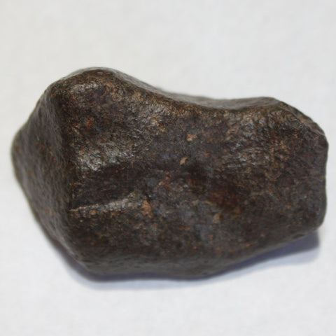 Meteorite (Chondrite)