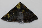 Meteorite (Pallasite)