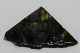 Meteorite (Pallasite)