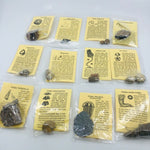 Fossil Collection Kit